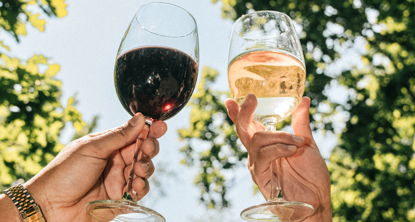 people cheering wine glasses
