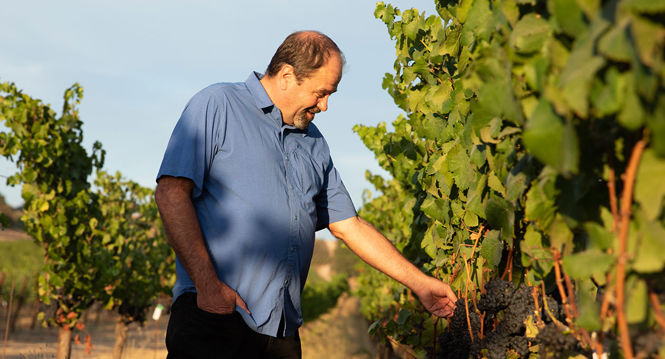 Winemaker James Hall in the vineyard