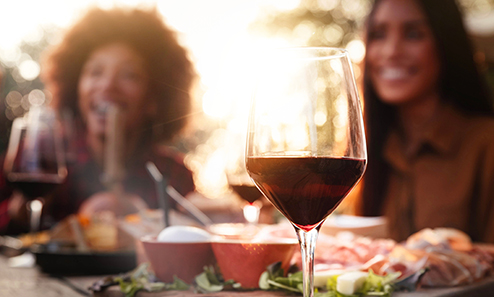 Two friends enjoying glasses of wine