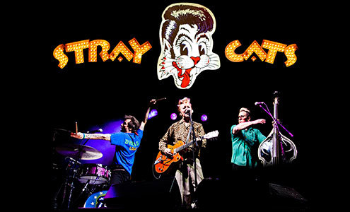 Summer Concert Artist Stray Cats