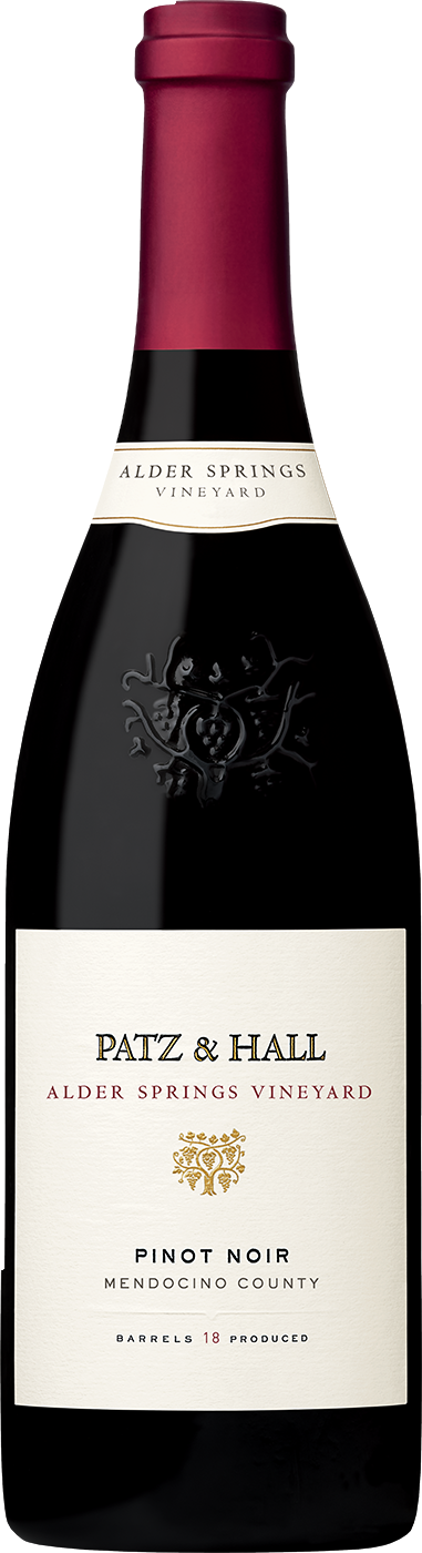 2020 Alder Springs Vineyard Mendocino Pinot Noir