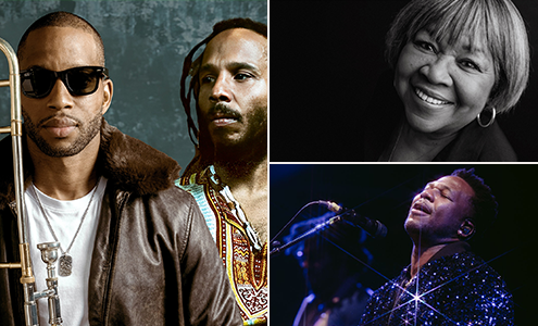 Trombone Shorty with Ziggy Marley image