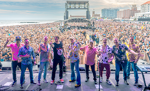The Beach Boys image