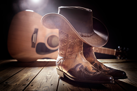 Country Night in the Courtyard image