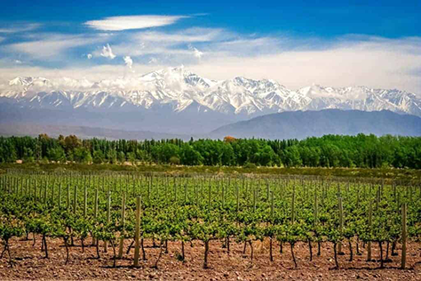 Exclusive Wine & Food Journey to Argentina image