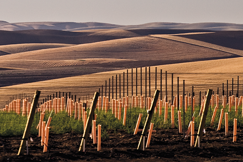 Tour and Tasting at the Corkrum-Derby Ranch image