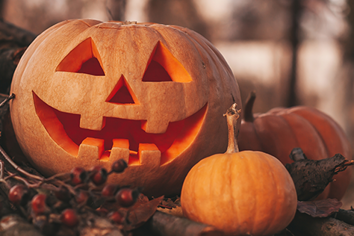 Hallo-Wine at the Chateau