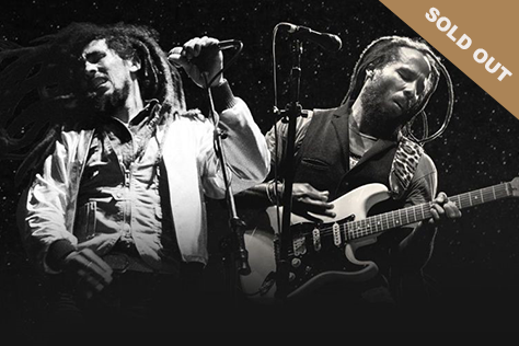 Ziggy Marley: A Live Tribute To His Father image