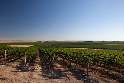 Locals Weekend image