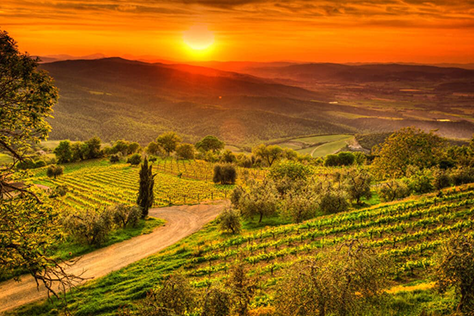 Exclusive Wine & Food Journey to Discover Chianti image