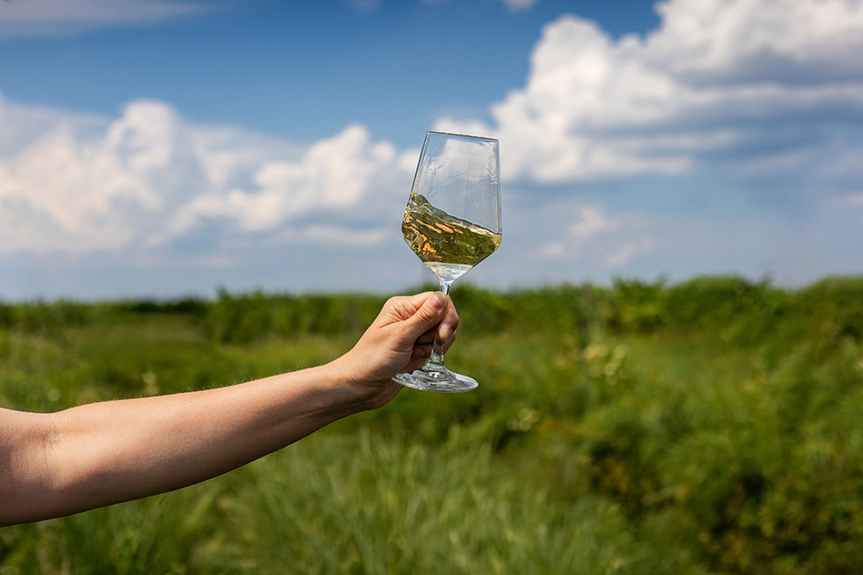 Midsummer’s White Blend Event image