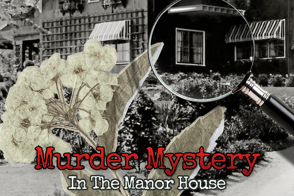 Murder Mystery Dinner & Masquerade image