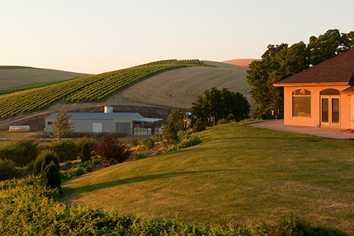 Monthly Spanish Speaking Wine Tasting