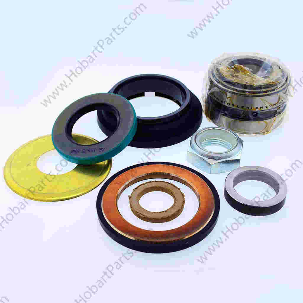 KIT,SEAL & BEARING