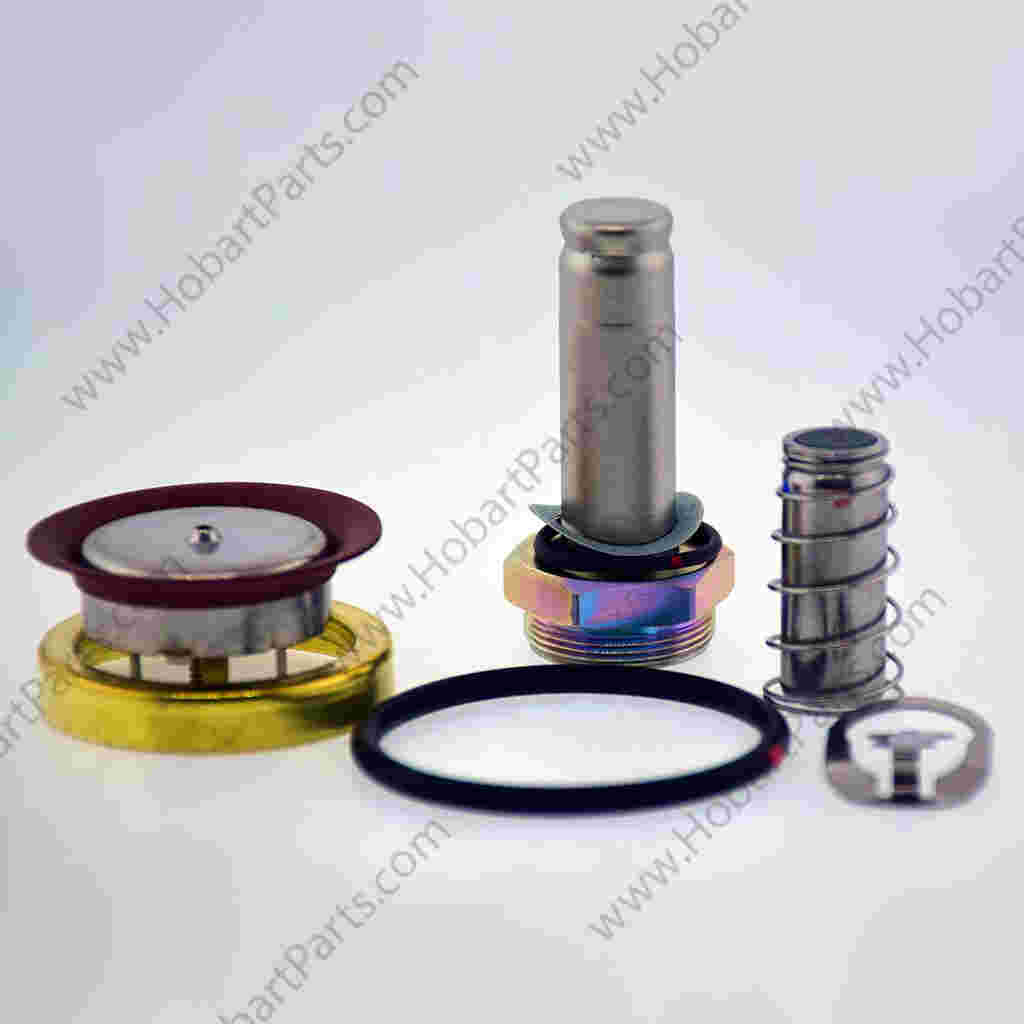 VALVE REPAIR KIT