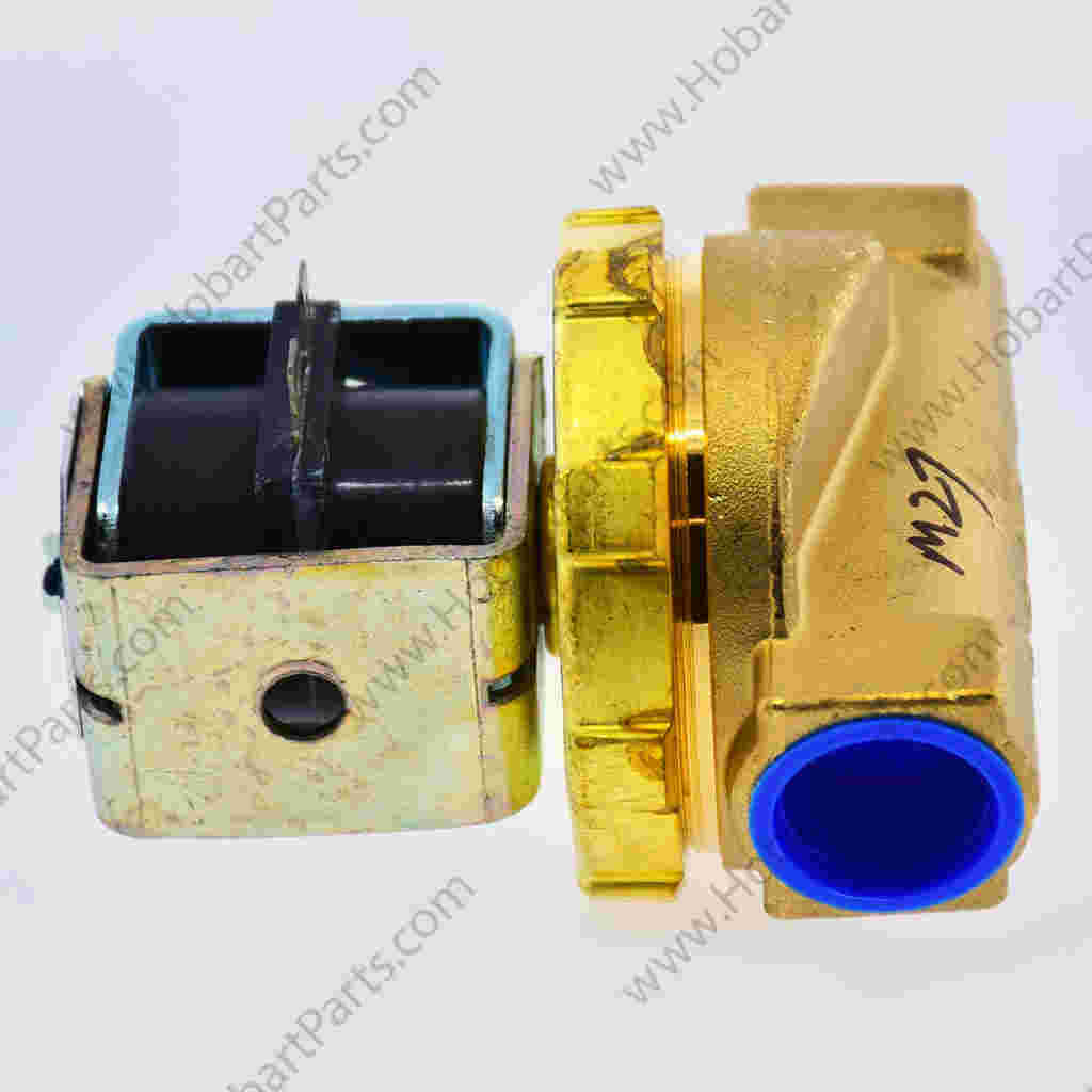 VALVE,SOLENOID,3/4" 110-120V