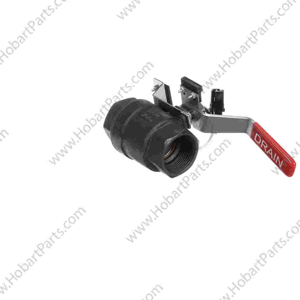 KIT,VALVE ASSY,LH & RH,W/MAGNT