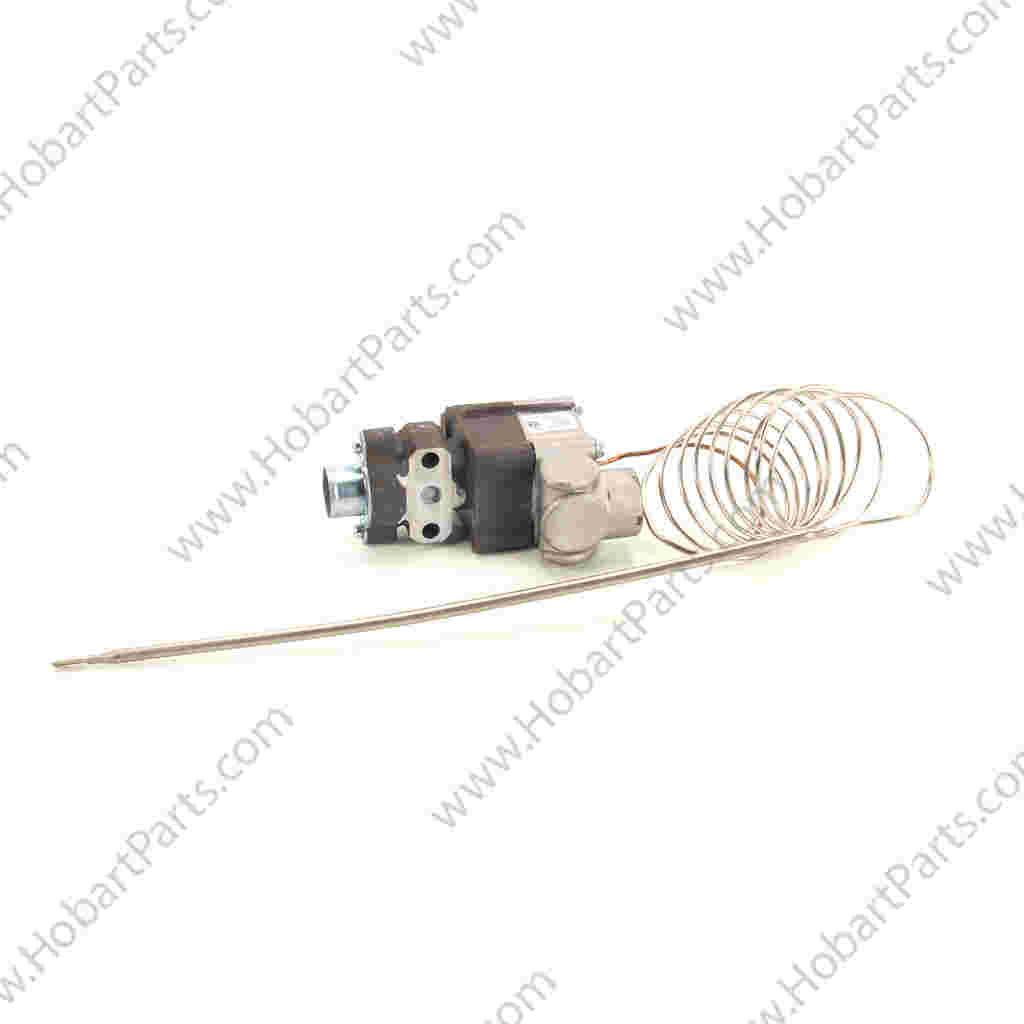 THERMOSTAT, BJ 60 IN CAP