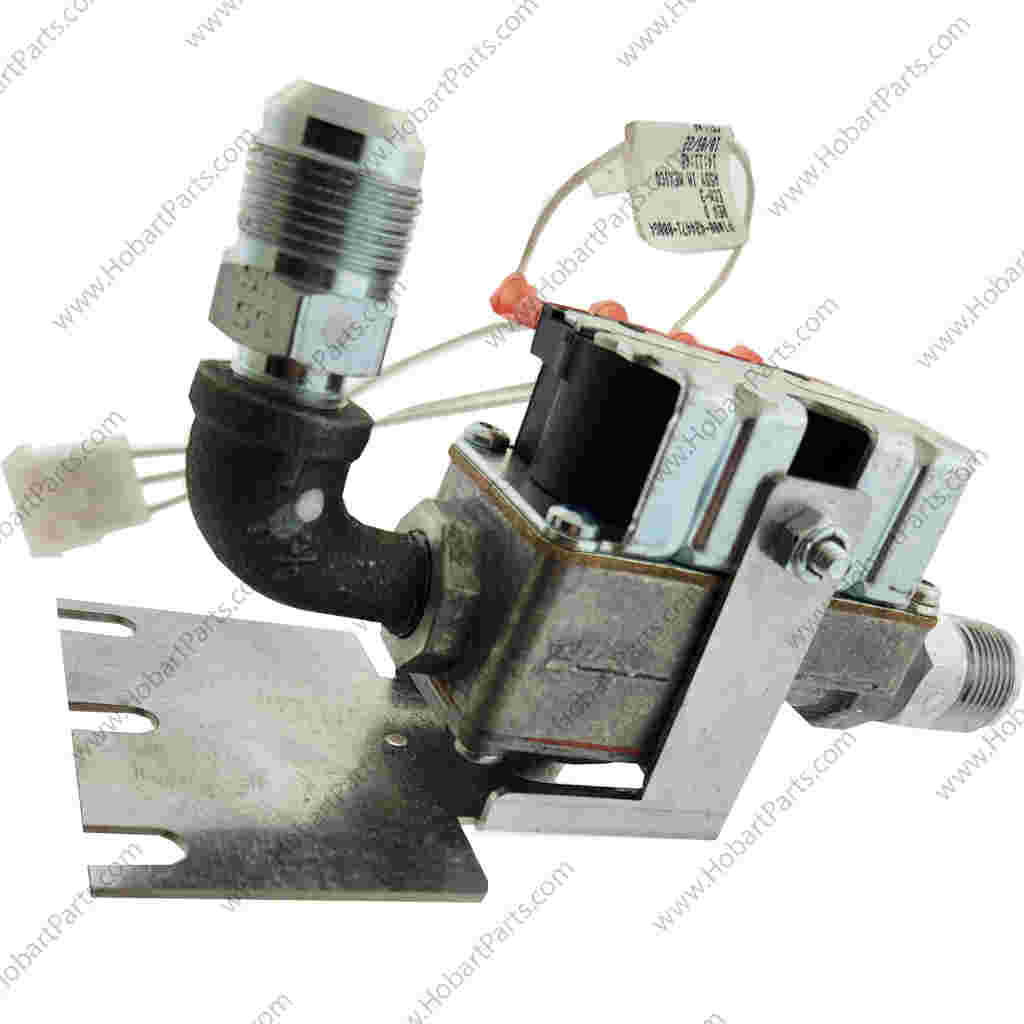 ASSY, GAS VALVE
