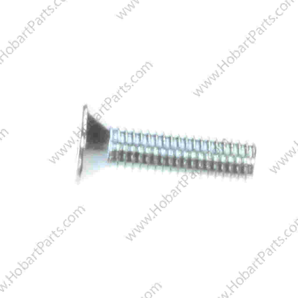 SCREW,DRIVE,TYPE TT 10-32