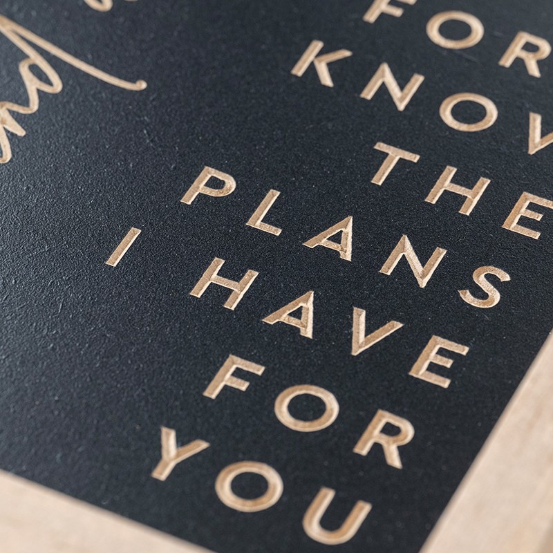 DANIEL FOR I KNOW THE PLANS WALL ART