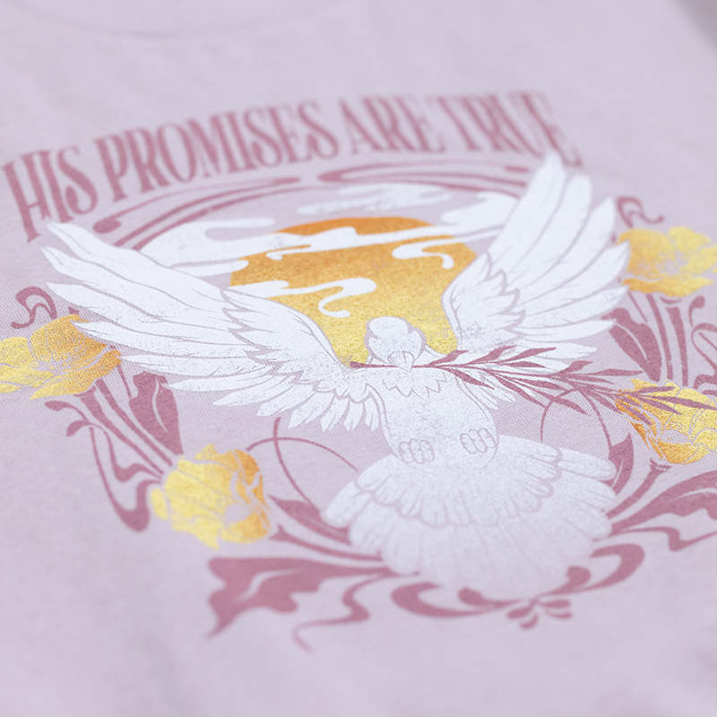 NOAH His Promises Are True Pullover