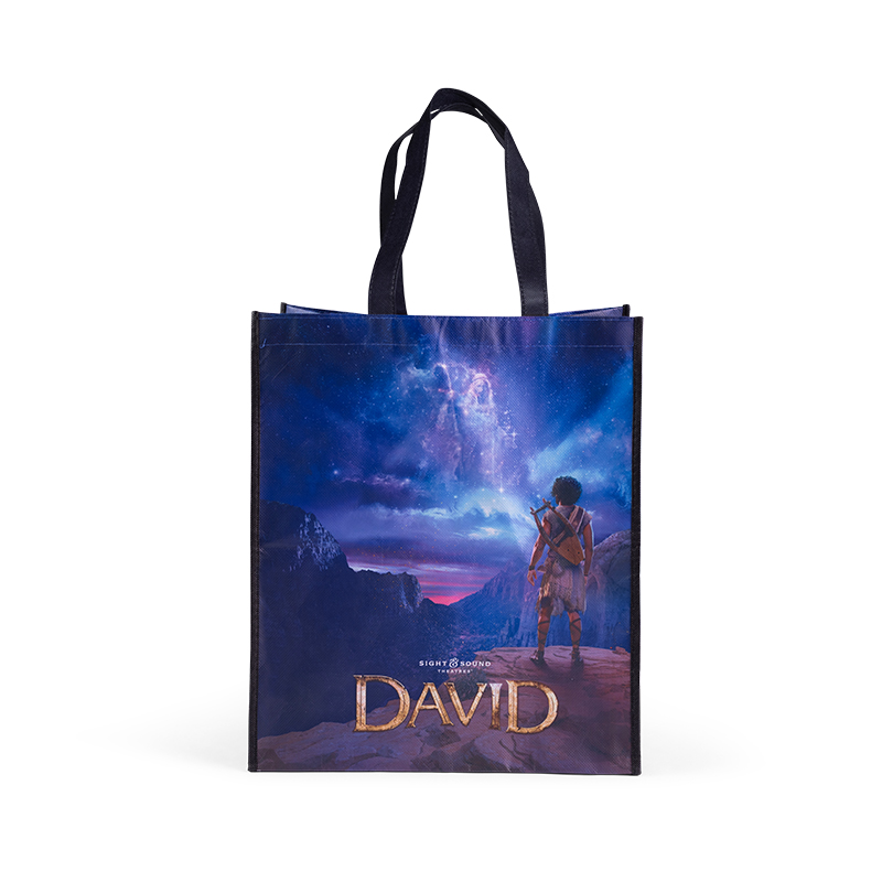 DAVID SHOW ART TOTE BAG