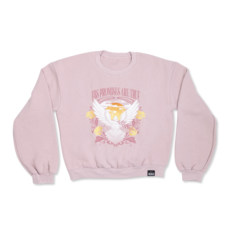 NOAH His Promises Are True Pullover