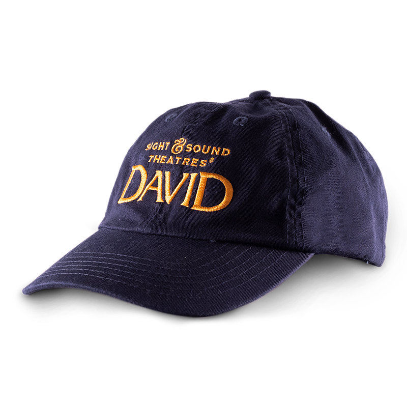 DAVID LOGO NAVY HAT