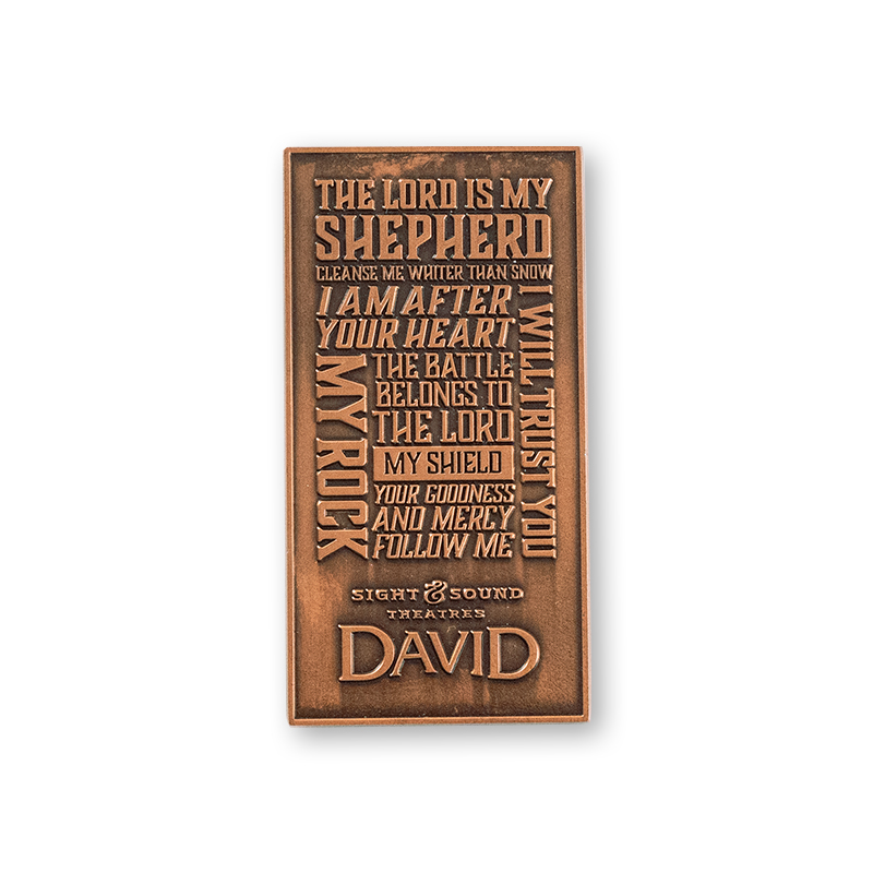 DAVID 2D COPPER PLATED MAGNET