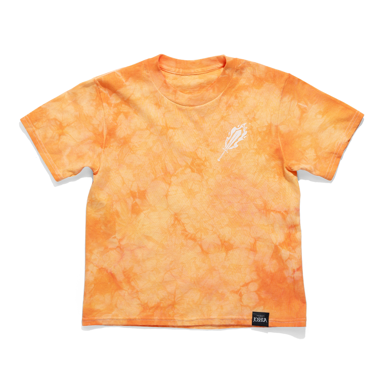 JOSHUA DO NOT FEAR YOUTH SHIRT