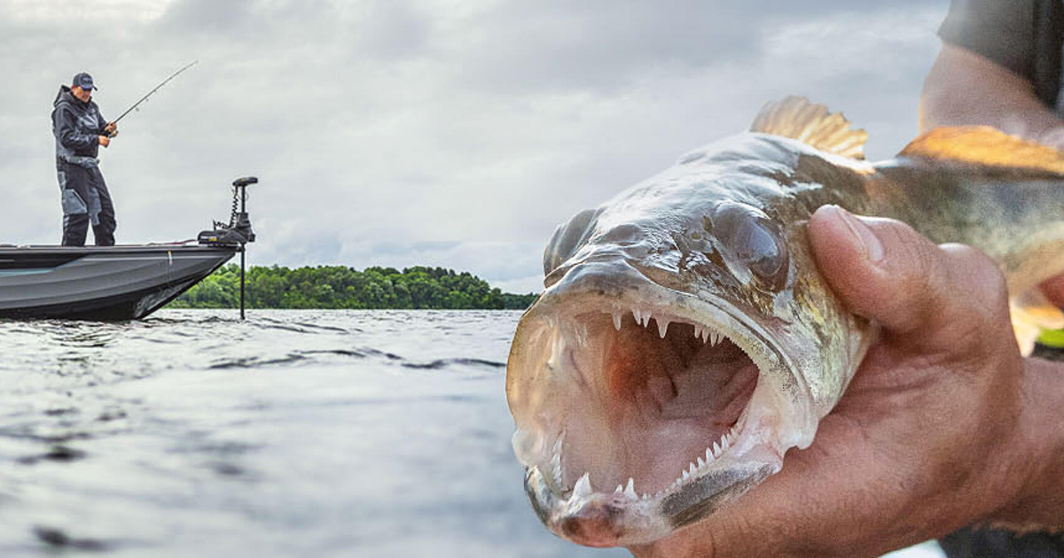 Hunting & Fishing Gear Onyx Outdoor