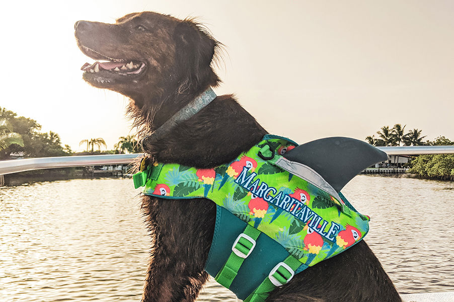 2021 Margaritaville Pet Vest Hero 900 1