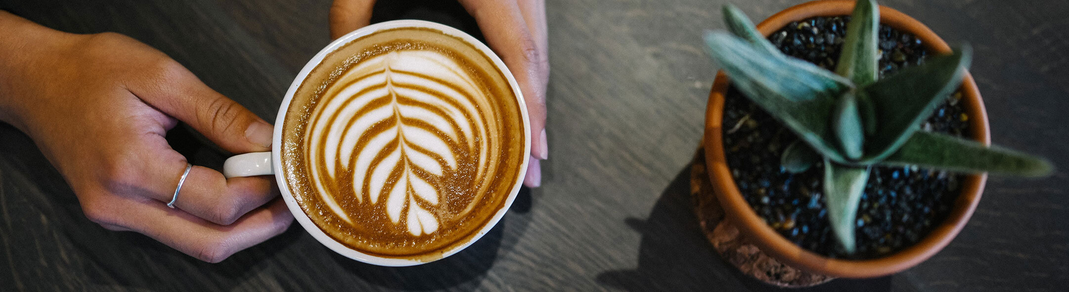 Foodservice Wholesale