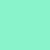Mint Green Mint Green