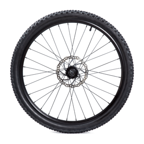 إطار من Tronosuros