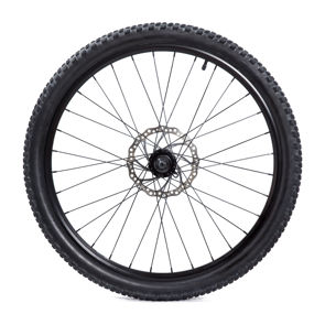 Neumático Tronosuros