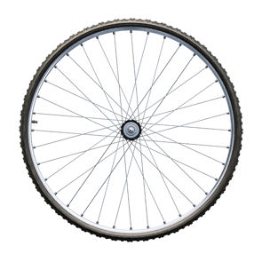 Neumático Trandorent Race