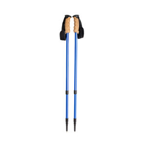 Stangicy trekking poles