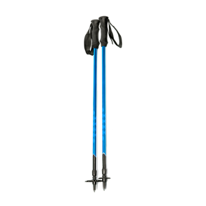 Lentro Ski Poles