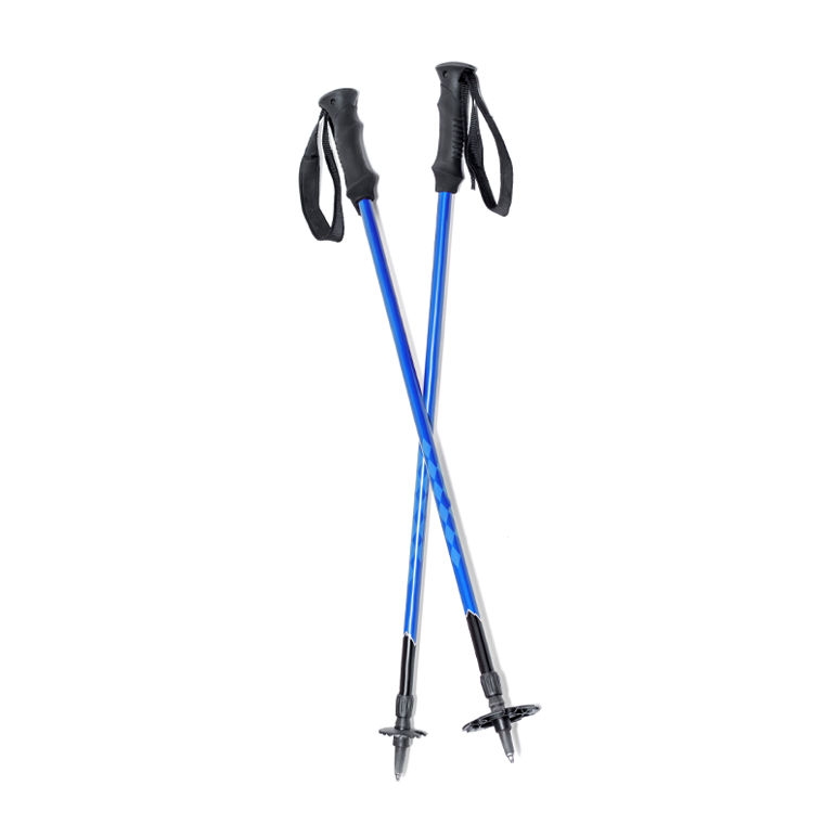 Bastones de esquí Ripthal