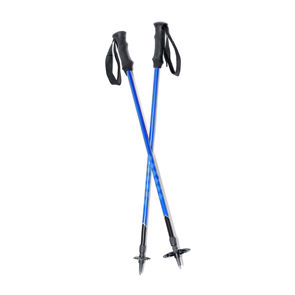 عصا تزلج من Ripthal