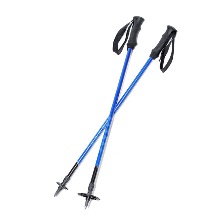 Bastones de esquí Ripthal