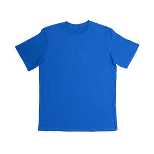 Blue Regular Fit Crewneck T-Shirt