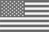 USA flag icon