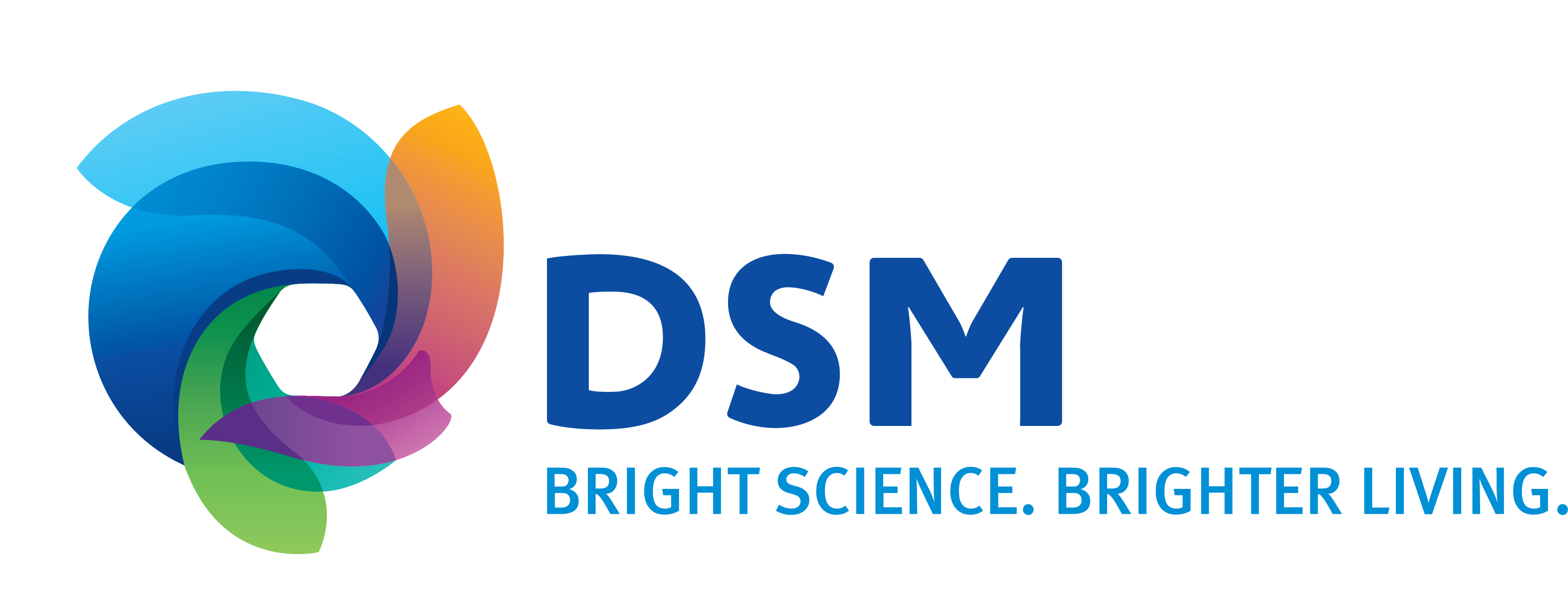 DSM