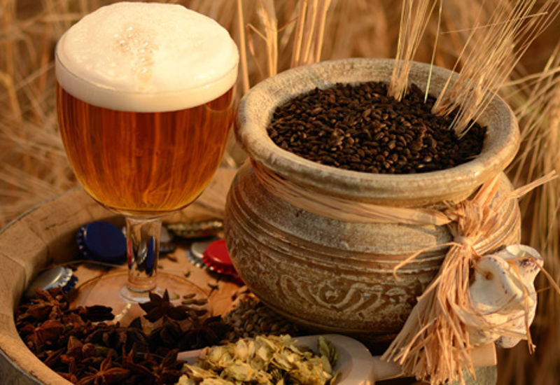 A beauty shot of malt and beer in a field