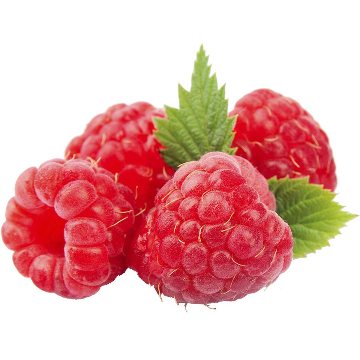 Mane Raspberry Fruit Flavor Natural