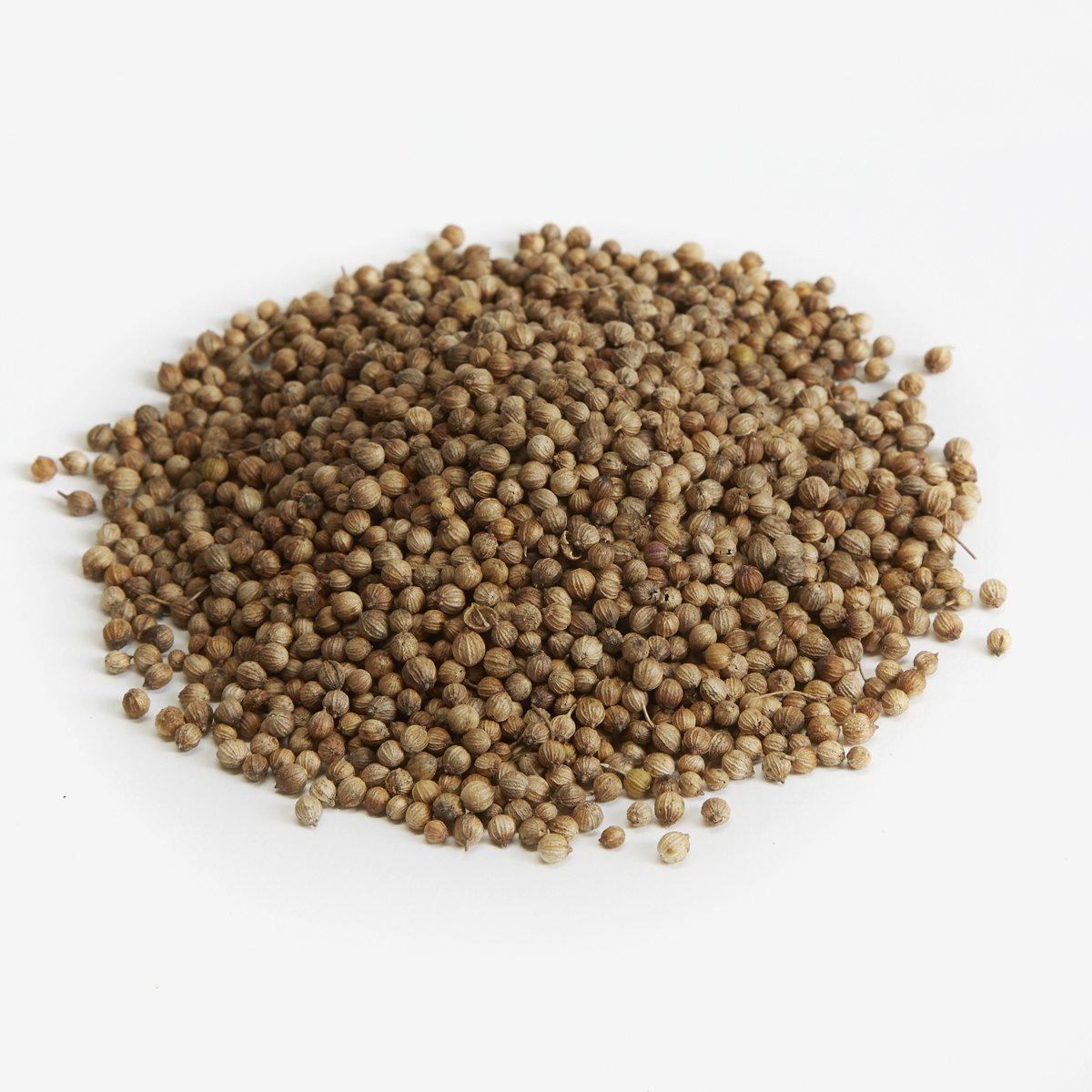 Whole Coriander Seed
