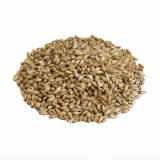 Canada Malting Munich Malt